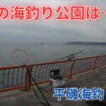 #373【カゴ釣り】11月の海釣り公園は？珍しい魚が…