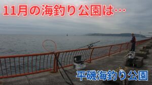 #373【カゴ釣り】11月の海釣り公園は?珍しい魚が…