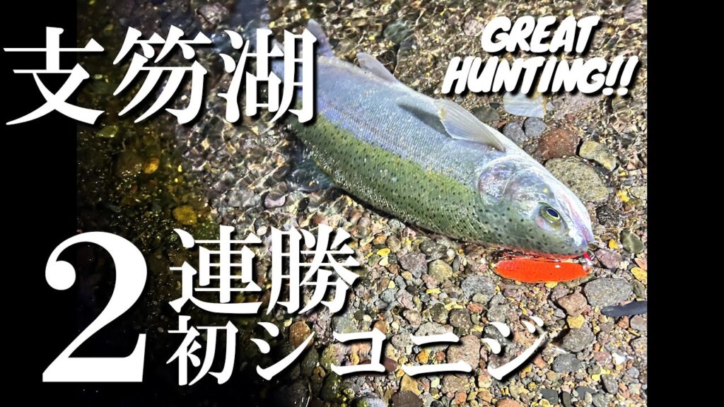 【支笏湖釣り】初シコニジ42㎝で2連勝