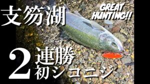 【支笏湖釣り】初シコニジ42㎝で2連勝