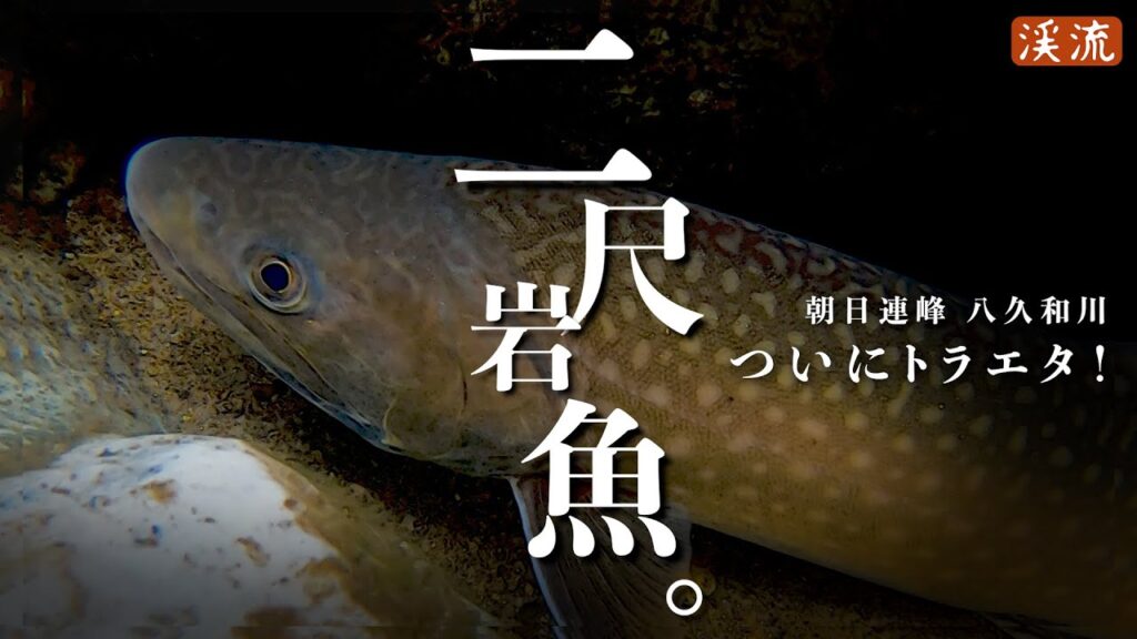 【渓流釣り】ついにとらえた！”２尺”イワナ／八久和川、国内最大級の源流へ～5日間の全記録。