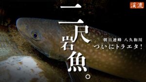 【渓流釣り】ついにとらえた!”2尺”イワナ/八久和川、国内最大級の源流へ~5日間の全記録。