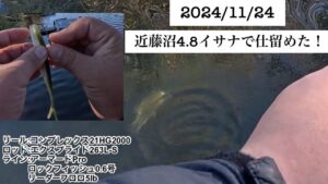 近藤沼初釣果！　5回目の正直(笑)