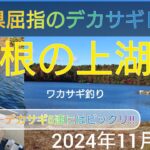 岐阜県屈指のデカサギレイク。根の上湖のワカサギ釣り。デカサギ5連にはビックリ‼️2024年11月18日