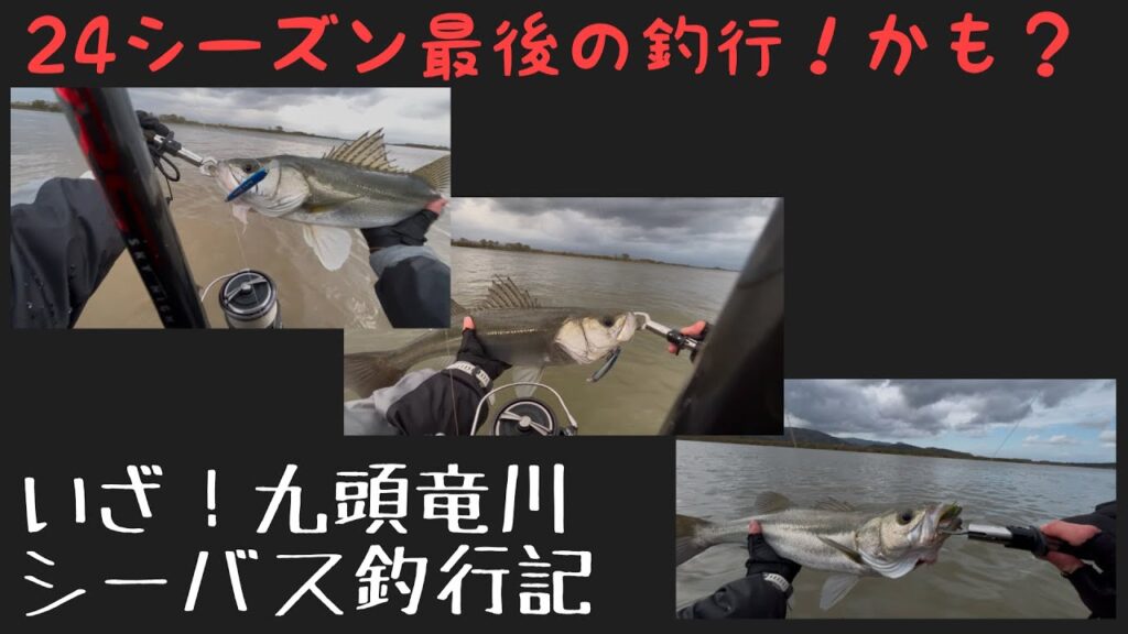 令和6年11月27日 九頭竜川に行ってきました♪