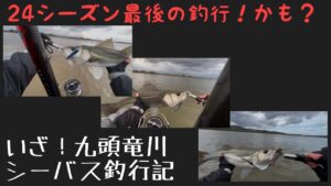 令和6年11月27日 九頭竜川に行ってきました♪