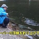 70cmオーバーを釣り上げた女性アングラーの方に密着【あいづフィッシングエリア・エリアトラウト・管理釣り場】