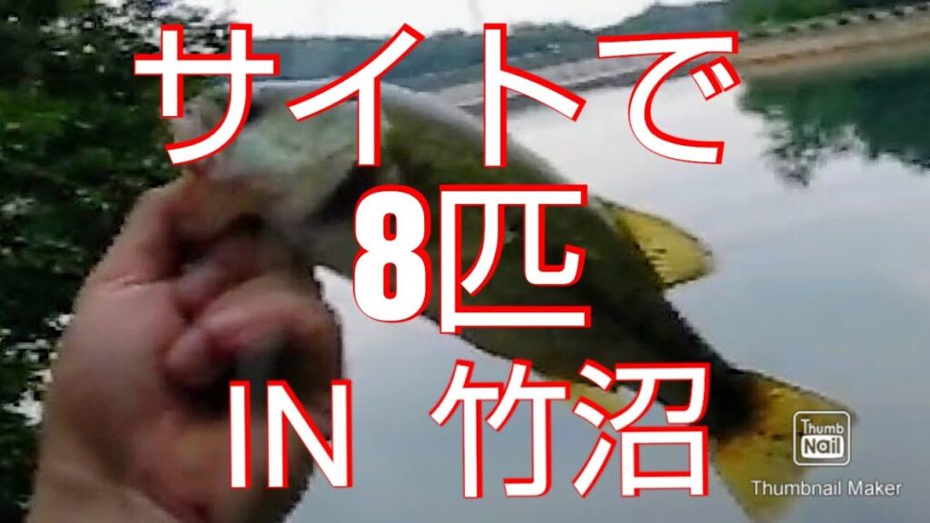 【バス釣り】【竹沼】  サイトフィッシングで8匹 魔法のワームが存在した！