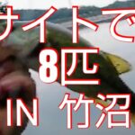 【バス釣り】【竹沼】  サイトフィッシングで8匹 魔法のワームが存在した！