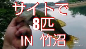 【バス釣り】【竹沼】 サイトフィッシングで8匹 魔法のワームが存在した!