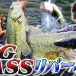 【伊藤巧×住吉悠希】BIG BASS リバー攻略 in 桑野川