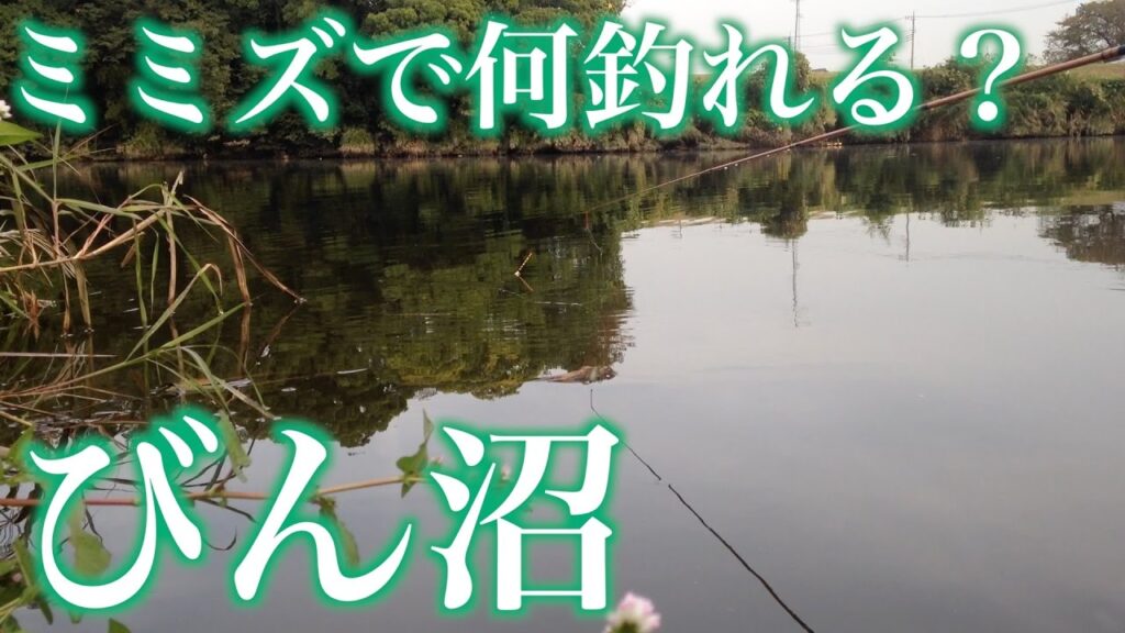 びん沼 小物釣り ママチャリ釣行 Coarse Fishing