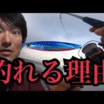 浜名湖でサビキ釣りでアジ釣って泳がせ釣り🎣Dジギングでまさかの…