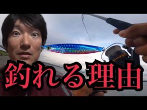 浜名湖でサビキ釣りでアジ釣って泳がせ釣り🎣Dジギングでまさかの…
