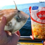 味の素で釣りしたらめっちゃ釣れた【ENG SUB】