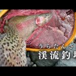 良型連発？みんなで行こうエリアトラウト釣行【渓流ルアー】【管理釣り場】【HUERCO】