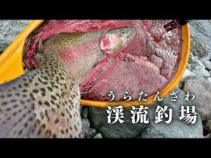 良型連発?みんなで行こうエリアトラウト釣行【渓流ルアー】【管理釣り場】【HUERCO】