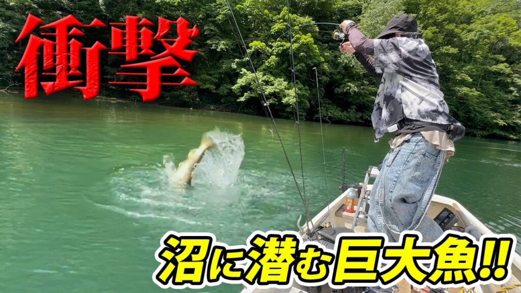秘境のような山奥の沼にモンスター級の魚がウヨウヨ生息していた！【エリアトラウト・管理釣り場・HartDesign・ハートデザイン・大尻沼・丸沼】