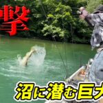 秘境のような山奥の沼にモンスター級の魚がウヨウヨ生息していた！【エリアトラウト・管理釣り場・HartDesign・ハートデザイン・大尻沼・丸沼】