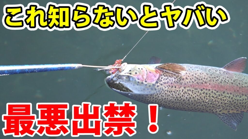 エリアトラウトをやる上で最も重要なことを教えます【管理釣り場・八丁堀】／HartDesign(ハートデザイン)【Vol.427】