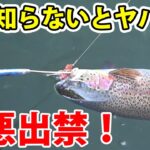 エリアトラウトをやる上で最も重要なことを教えます【管理釣り場・八丁堀】／HartDesign(ハートデザイン)【Vol.427】