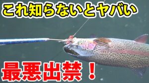 エリアトラウトをやる上で最も重要なことを教えます【管理釣り場・八丁堀】／HartDesign(ハートデザイン)【Vol.427】