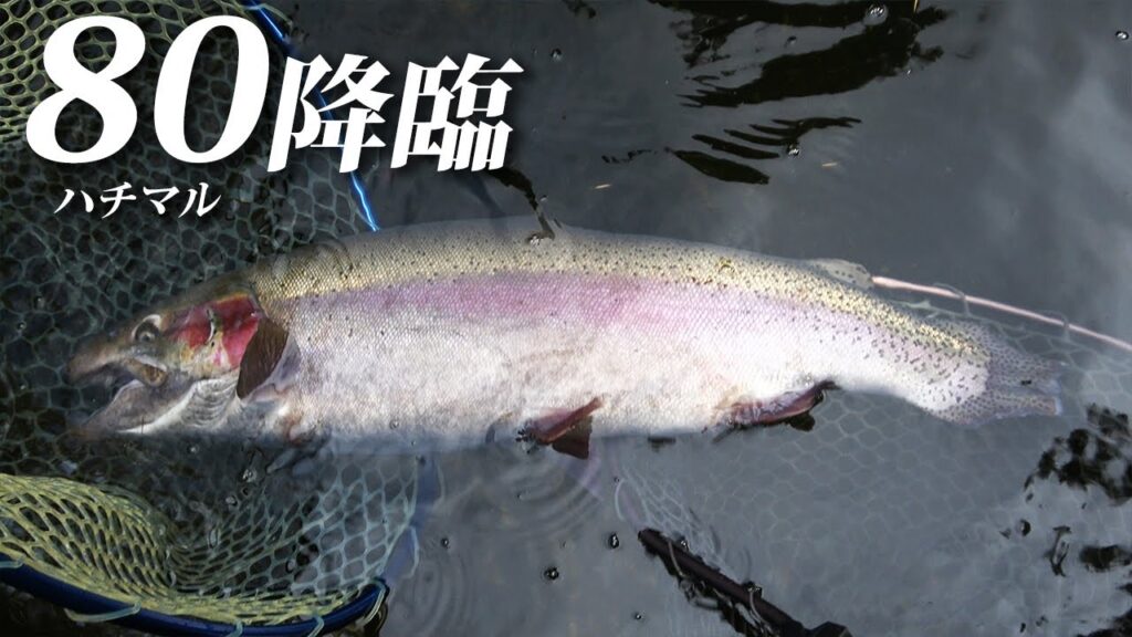 NEWオープンの管理釣り場でまさかの展開に…！【エリアトラウト・ハートデザイン・あいづフィッシングエリア】