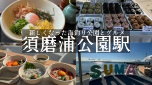 【神戸市須磨区】山陽須磨浦公園駅🚃新しくなった須磨海釣り公園🐟で釣りとグルメ🎣神戸養殖サーモンを使用した海鮮丼✨すま家&アメリカンなドーナツ🍩ローカルリングドーナツ&SUMAテラス🏖️&敦盛そば