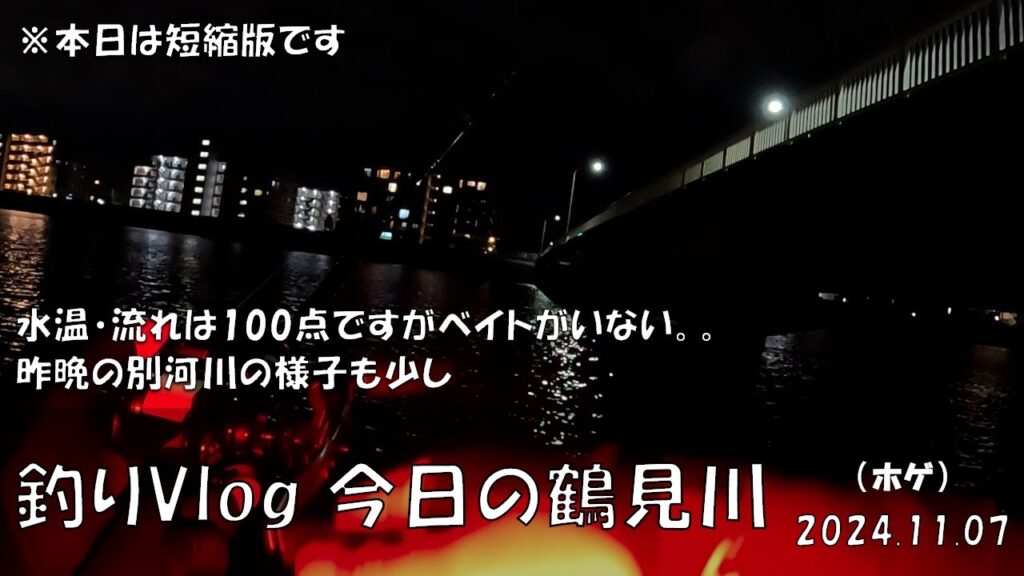 シーバス釣りVlog 今日の鶴見川 2024年11月7日（ホゲ）水温・流れは100点ですがベイトが居ない。。