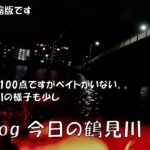 シーバス釣りVlog 今日の鶴見川 2024年11月7日（ホゲ）水温・流れは100点ですがベイトが居ない。。