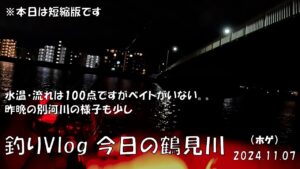 シーバス釣りVlog 今日の鶴見川 2024年11月7日（ホゲ）水温・流れは100点ですがベイトが居ない。。