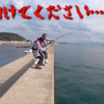 離島堤防のヌシ現る！只事でない怪物に思わず漁師が駆け寄る！(Vol.766)