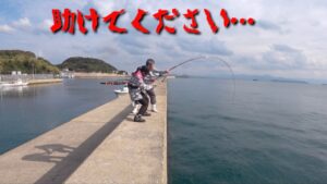 離島堤防のヌシ現る！只事でない怪物に思わず漁師が駆け寄る！(Vol.766)