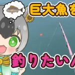 【実写】とっとの海釣り冒険記【個人Vtuber】