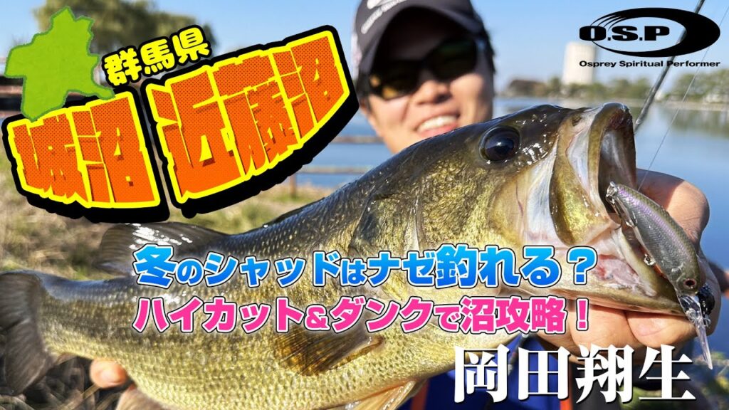 【群馬県 城沼・近藤沼】 冬のシャッドはナゼ釣れる？ハイカット＆」ダンクで沼攻略！ by 岡田翔生