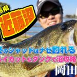 【群馬県 城沼・近藤沼】 冬のシャッドはナゼ釣れる？ハイカット＆」ダンクで沼攻略！ by 岡田翔生