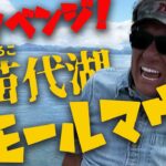 日本記録出まくり猪苗代湖のスモールマウスバス！＠村田基　#釣り #バス釣り #fishing