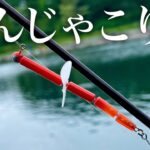 なんだこのルアー!?こんなので鱒が釣れるはずg......あれ...？【エリアトラウト】【管理釣り場】【ダイワ 鱒の小枝SCREW】【初心者向けではない】