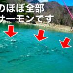 大物サーモンの巣窟と化した衝撃の管理釣り場はここ!!釣って刺身で食います。  エリアトラウトin蛇尾川フィッシングパーク