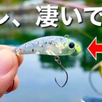 管理釣り場初心者でも超簡単にボトム攻略できる爆釣ルアーはこれ!!   エリアトラウトin川場フィッシングプラザ