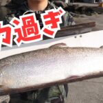【エリアトラウト】管理釣り場の怪物を釣って食う！幻のイトウを降臨させたルアーはコレ！in川場フィッシングプラザ