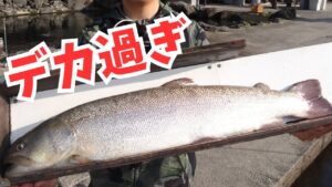 【エリアトラウト】管理釣り場の怪物を釣って食う!幻のイトウを降臨させたルアーはコレ!in川場フィッシングプラザ