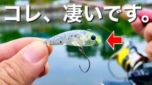 管理釣り場初心者でも超簡単にボトム攻略できる爆釣ルアーはこれ!! エリアトラウトin川場フィッシングプラザ