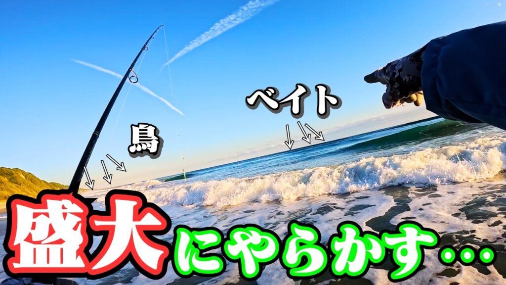 秋シーズンに入ったと期待し遠州灘サーフへ釣りをしに行ったら心折らされました🐟in遠州灘、田原サーフ【釣行日2024/11/22(金)】