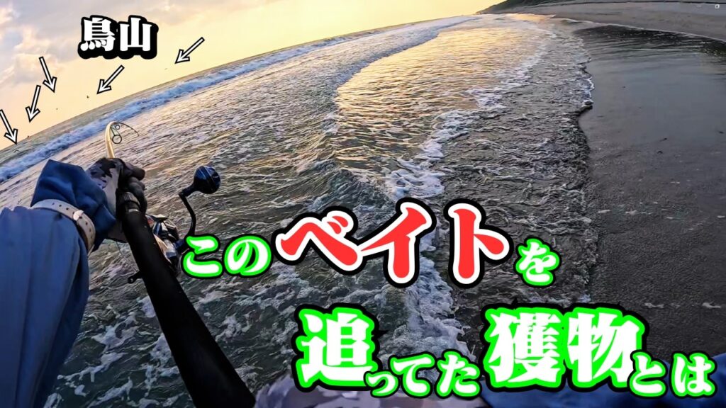 【秋シーズン突入❗】遠州灘サーフ"とあるポイント"の夕まずめで青物やヒラメが釣れました🐟in遠州灘、田原サーフ【釣行日2024/11/22(金)】