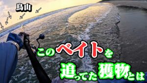 【秋シーズン突入❗】遠州灘サーフ"とあるポイント"の夕まずめで青物やヒラメが釣れました🐟in遠州灘、田原サーフ【釣行日2024/11/22(金)】