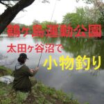 鶴ヶ島運動公園太田ヶ谷沼で小物釣り【鶴ヶ島市】☆smallfishing in Saitama  Japan☆