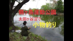 鶴ヶ島運動公園太田ヶ谷沼で小物釣り【鶴ヶ島市】☆smallfishing in Saitama  Japan☆