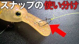 【知らないと損する】スナップのサイズ別の使い分け【エリアトラウト 管理釣り場 管釣り trout fishing】