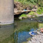エサ代０円。これが田舎の親父に教わった簡単に釣れる夏におすすめの釣り方です。